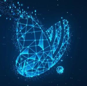 杭州變啦網(wǎng)絡(luò)科技 引領(lǐng)健康管理領(lǐng)域的網(wǎng)絡(luò)技術(shù)創(chuàng)新者